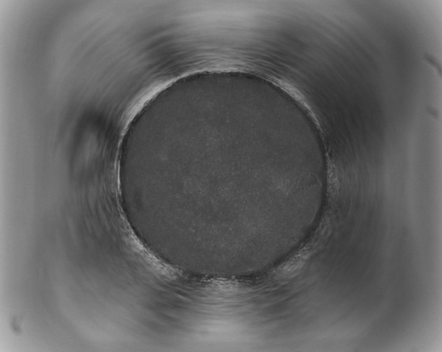 X0000102810935200808181220