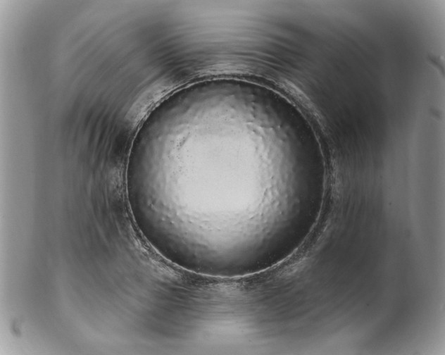 X0000102810937200808181220