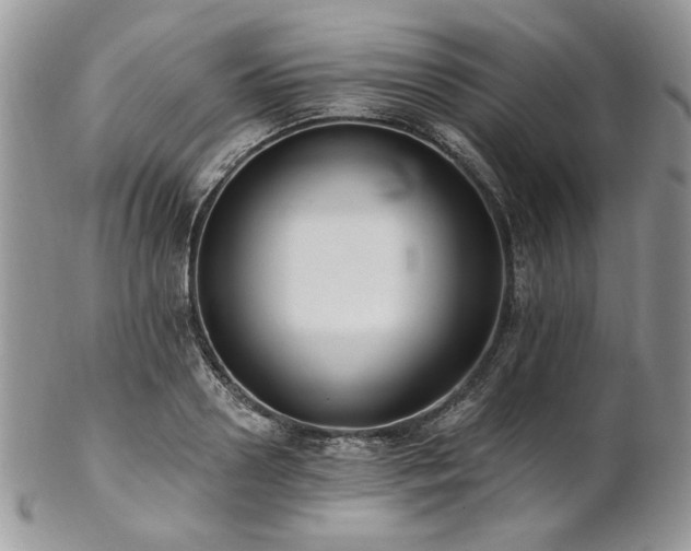 X0000102810938200808181220