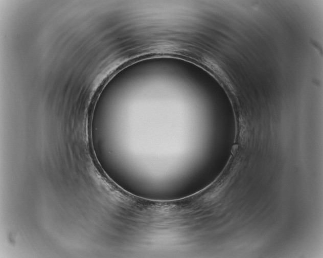 X0000102810939200808181220