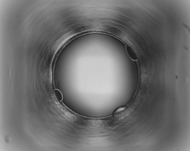 X0000102810940200808181220