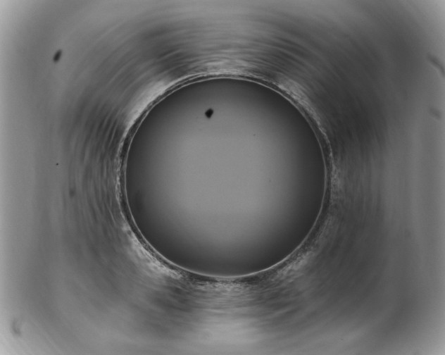 X0000102810941200808181220