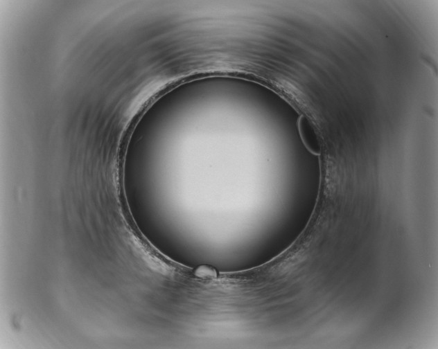 X0000102810942200808181220