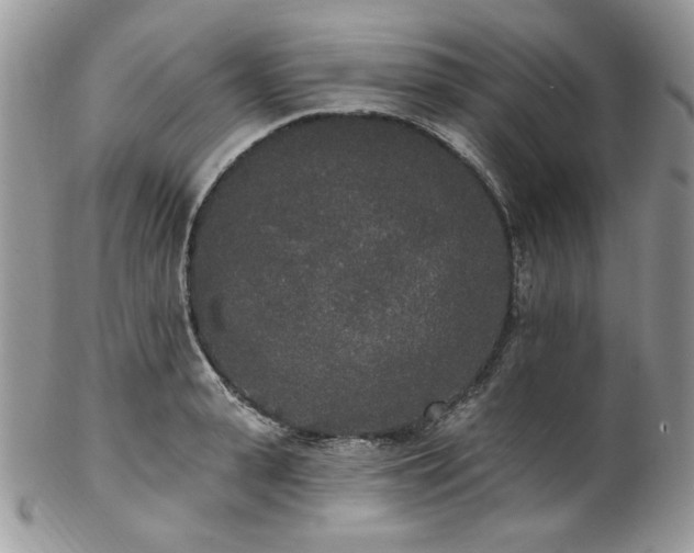 X0000102810943200808181220