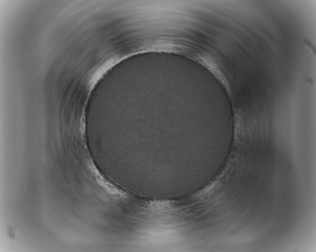 X0000102810944200808181220