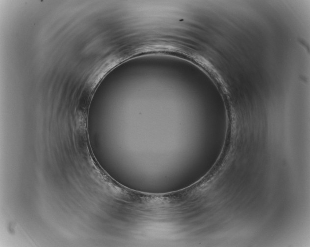 X0000102810945200808181220