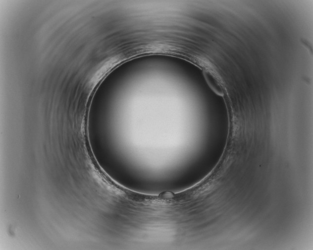 X0000102810946200808181220