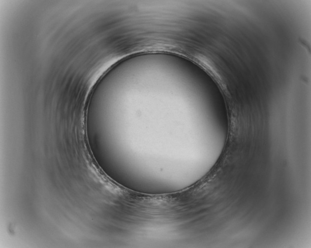 X0000102810948200808181220