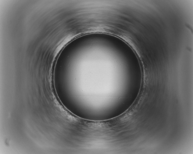 X0000102810949200808181220