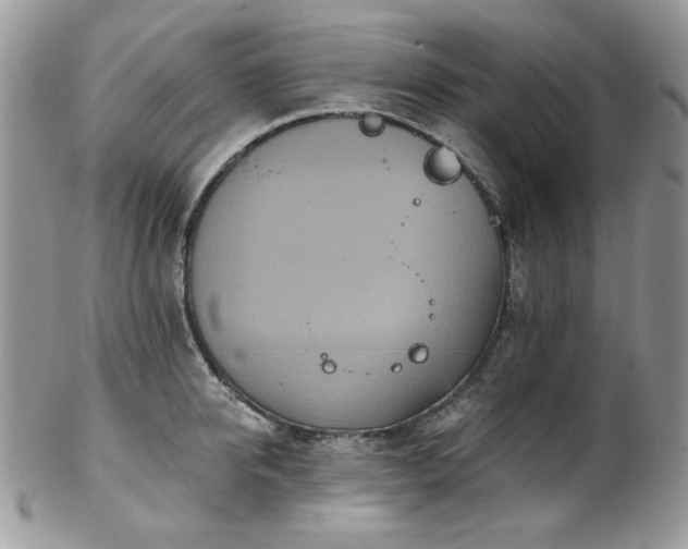 X0000102810950200808181220