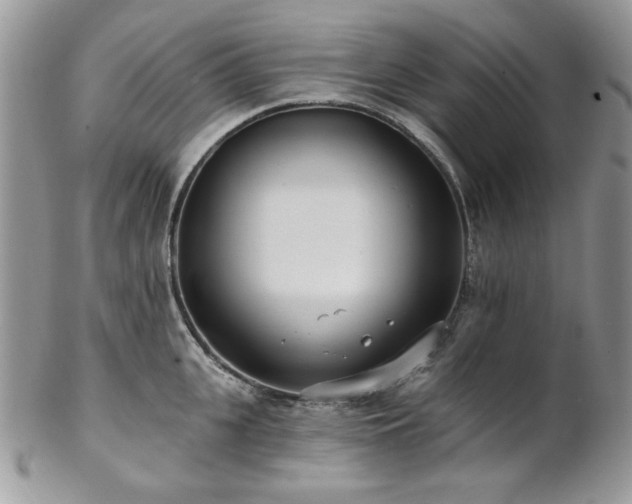 X0000102810951200808181220