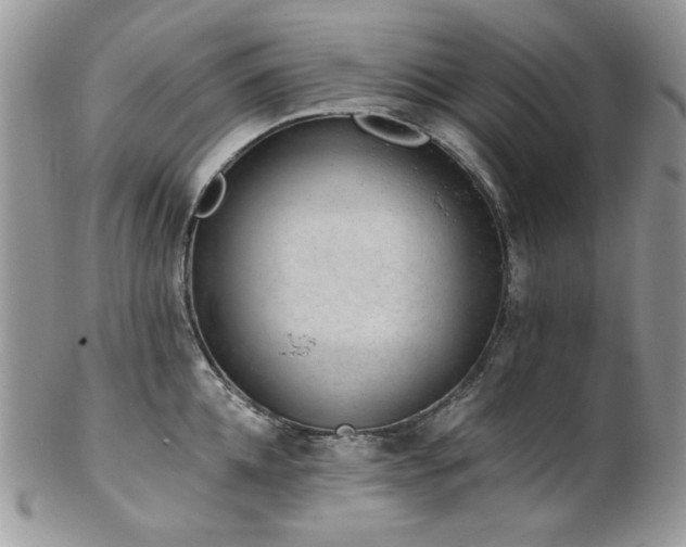 X0000102810952200808181220