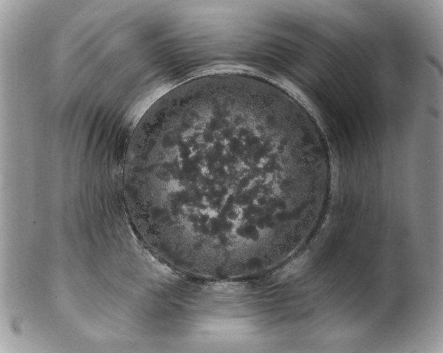 X0000102810953200808181220