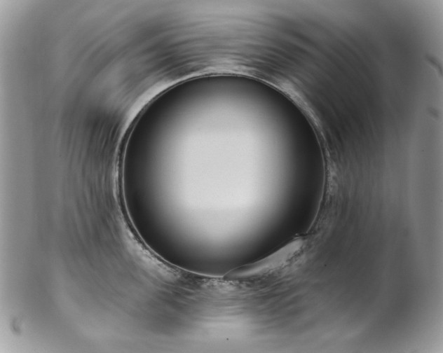 X0000102810955200808181220