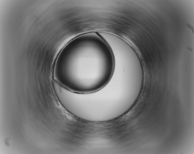 X0000102810956200808181220