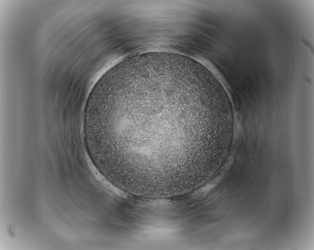 X0000102810957200808181220