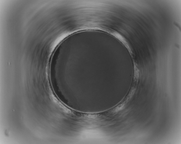 X0000102810958200808181220