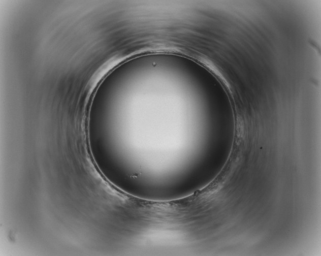 X0000102810959200808181220