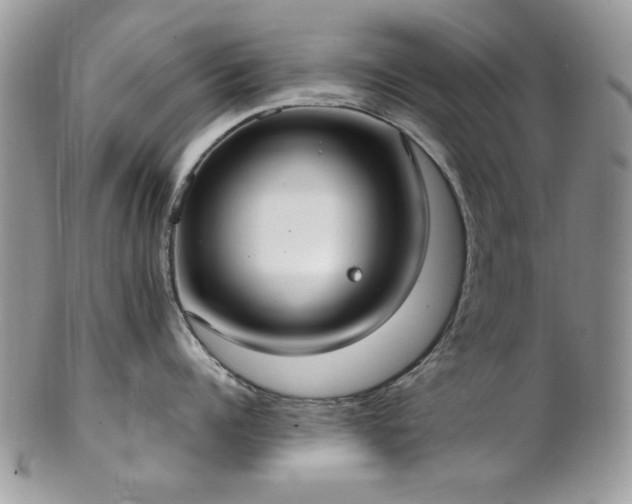 X0000102810960200808181220