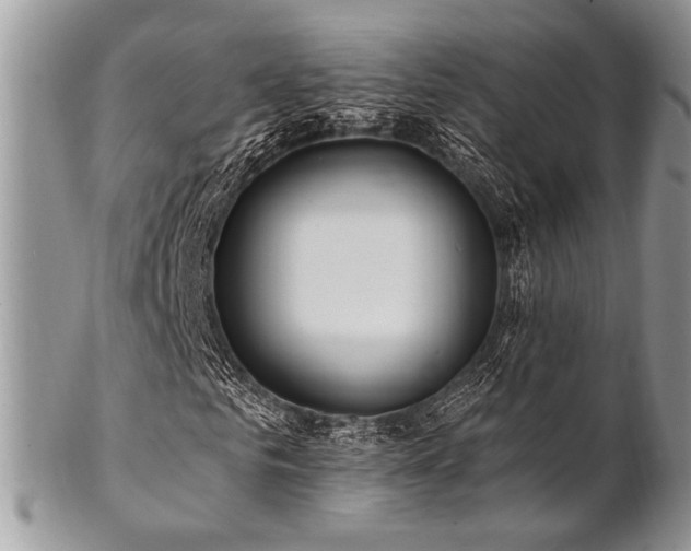 X0000102810961200808181220