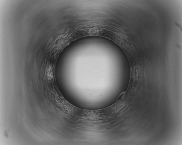 X0000102810962200808181220