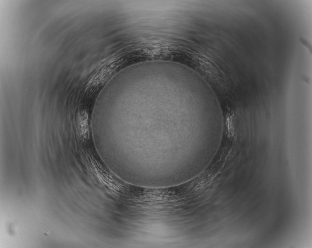 X0000102810963200808181220