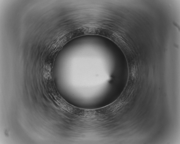 X0000102810964200808181220