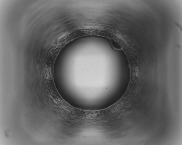 X0000102810965200808181220