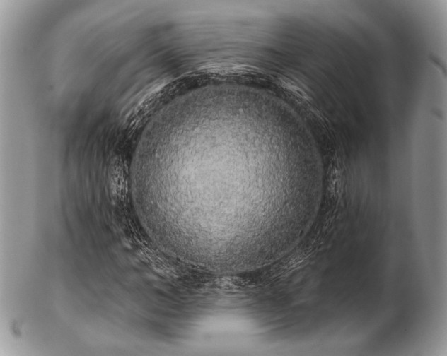 X0000102810966200808181219