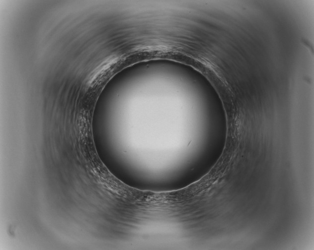 X0000102810967200808181219