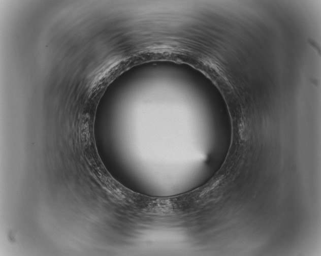 X0000102810968200808181219