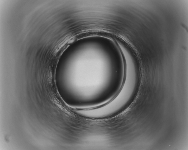 X0000102810969200808181219