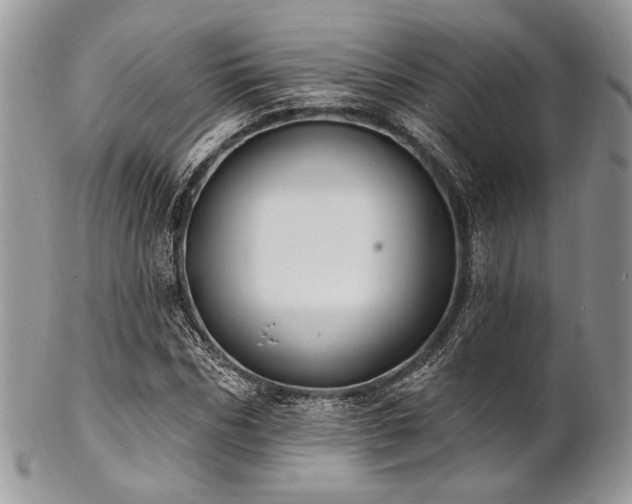 X0000102810970200808181219