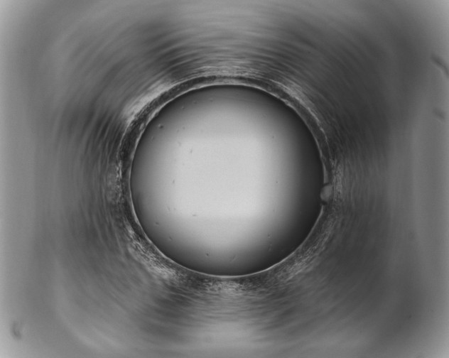 X0000102810971200808181219