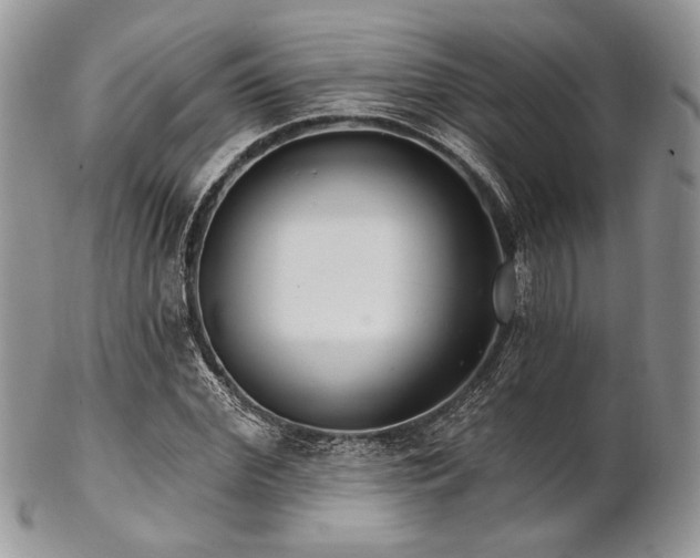 X0000102810972200808181219