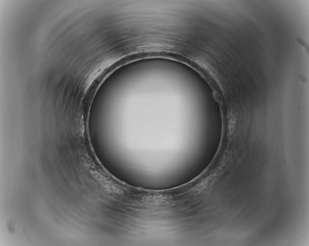 X0000102810973200808181219