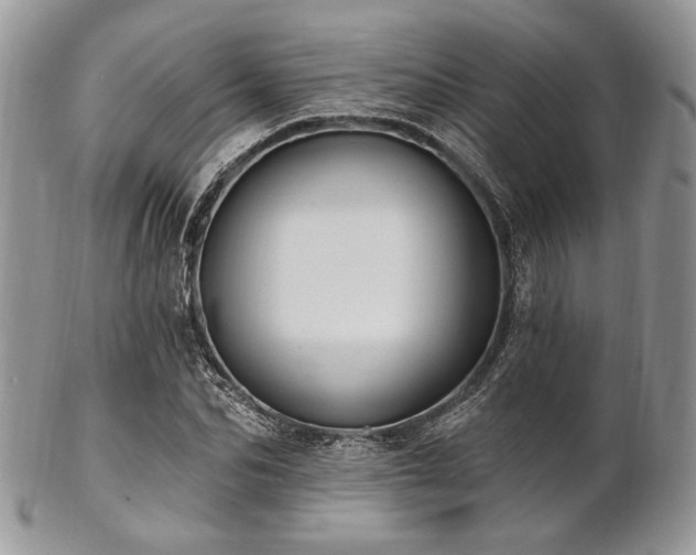 X0000102810974200808181219