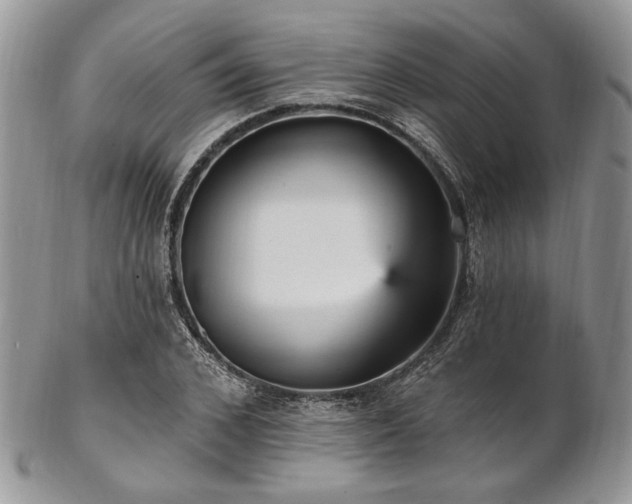 X0000102810976200808181219