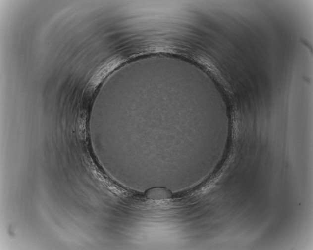 X0000102810977200808181219