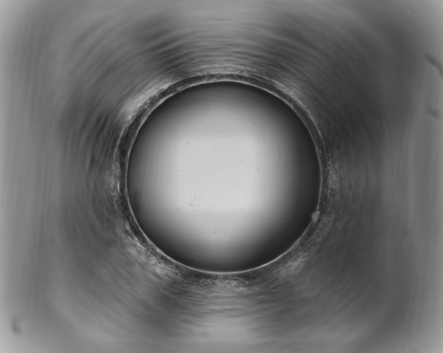 X0000102810979200808181219