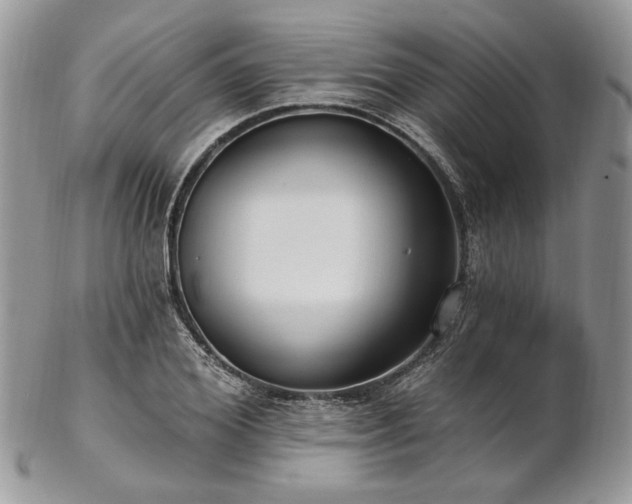 X0000102810980200808181219