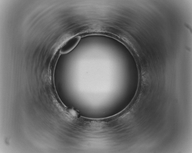 X0000102810981200808181219