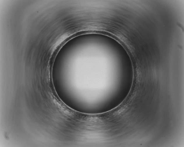 X0000102810982200808181219