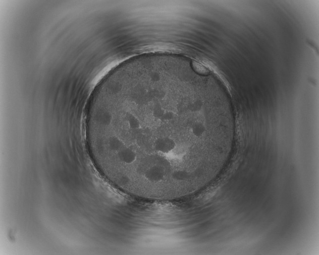 X0000102810983200808181219