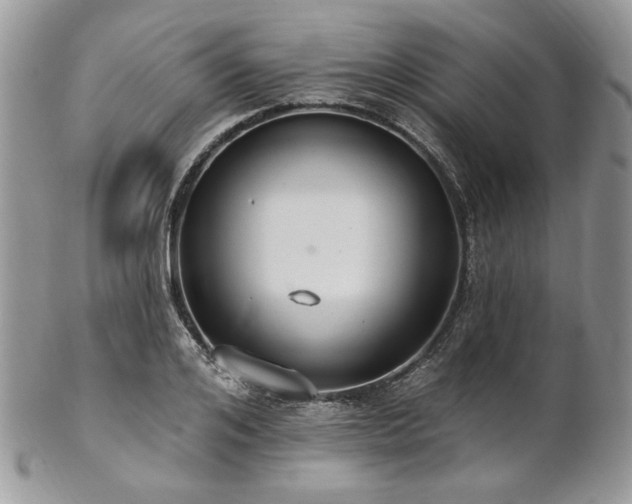 X0000102810984200808181219