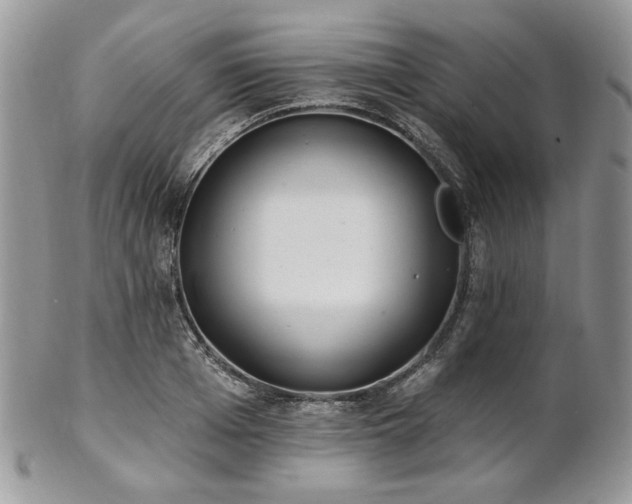 X0000102810985200808181219