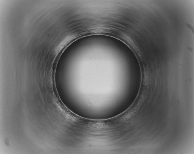 X0000102810986200808181219