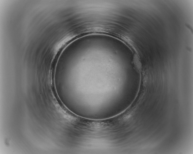 X0000102810987200808181219