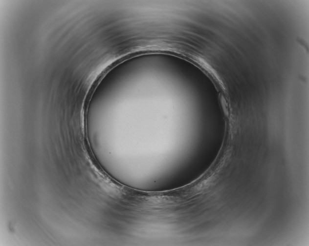 X0000102810988200808181219