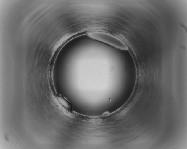 X0000102810989200808181219